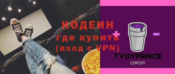 мдпв Краснослободск