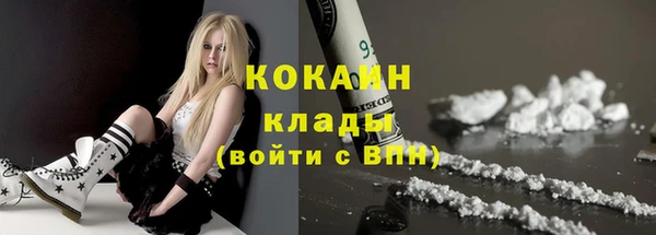 гидра Коряжма