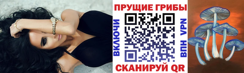 kraken сайт  Вилючинск  Галлюциногенные грибы ЛСД 